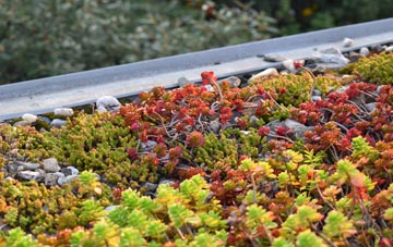 the cost of Mountnessing green roof installation