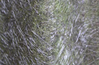 Mountnessing fibreglass roof work